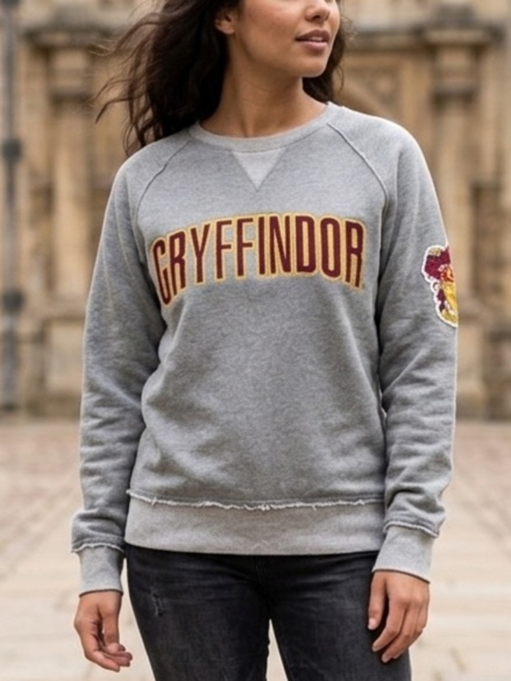 🦁 Gryffindor Gray Sweatshirt